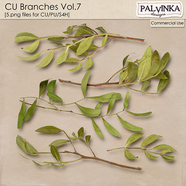 CU Branches Vol.7