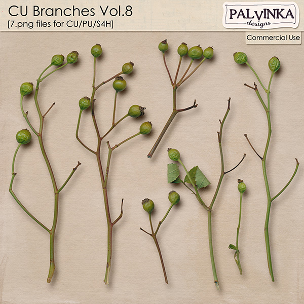 CU Branches Vol.8