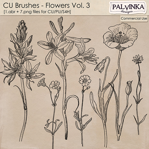 CU Brushes - Flowers 3