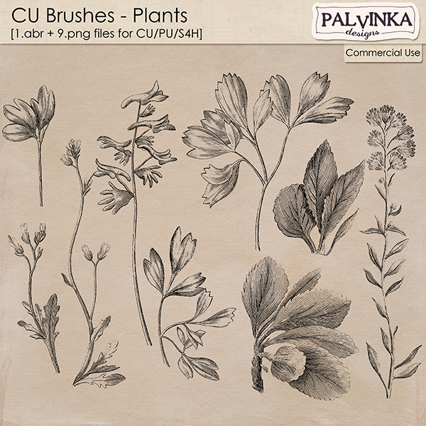 CU Brushes - Plants
