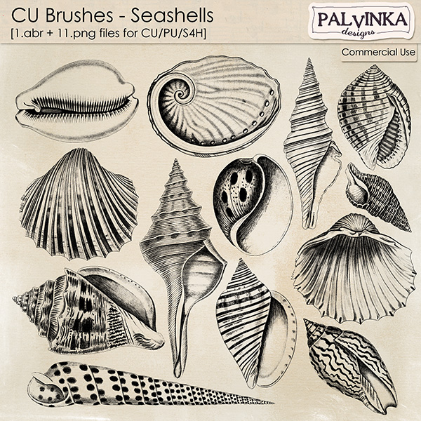 CU Brushes - Seashells