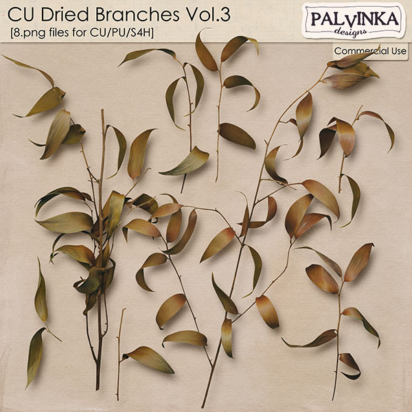 CU Dried Branches Vol.3