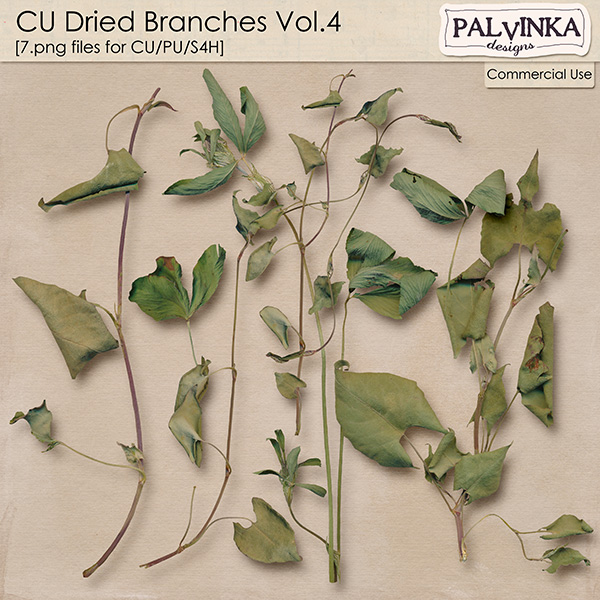 CU Dried Branches Vol.4 