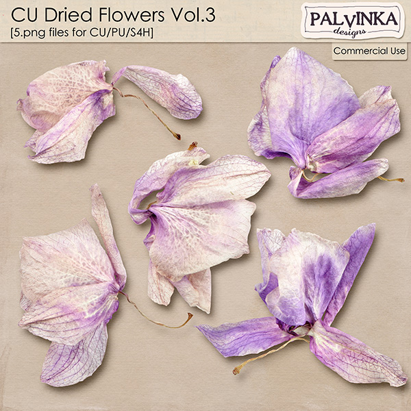 CU Dried Flowers Vol.3