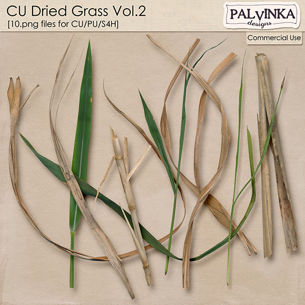 CU Dried Grass 2