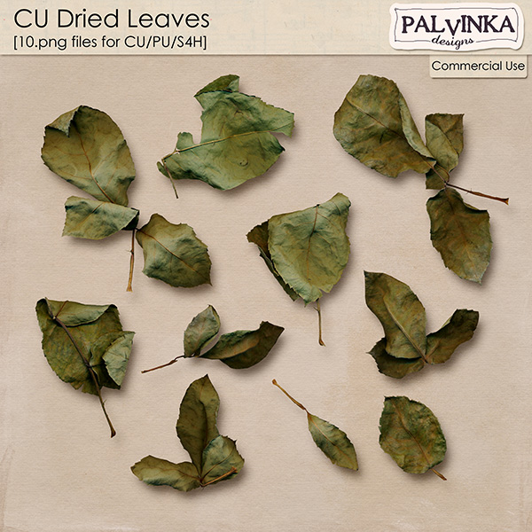 CU Dried Leaves