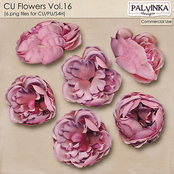 CU Flowers 16