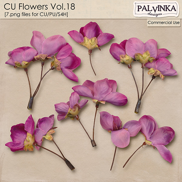 CU Flowers 18