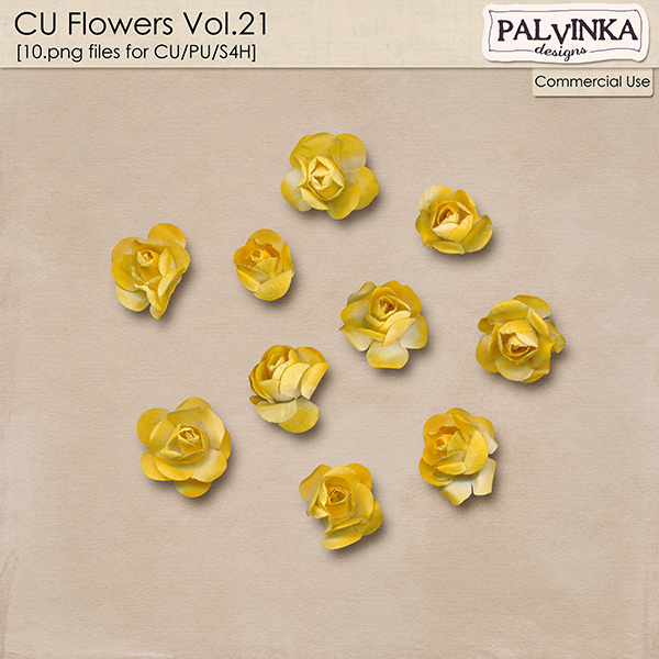 CU Flowers 21