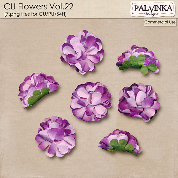 CU Flowers 22