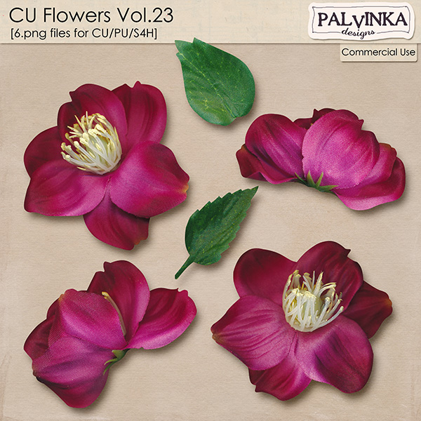 CU Flowers 23