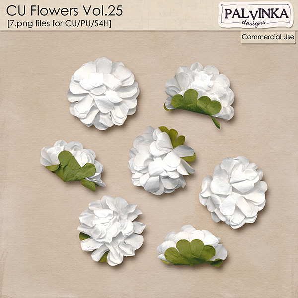 CU Flowers 25