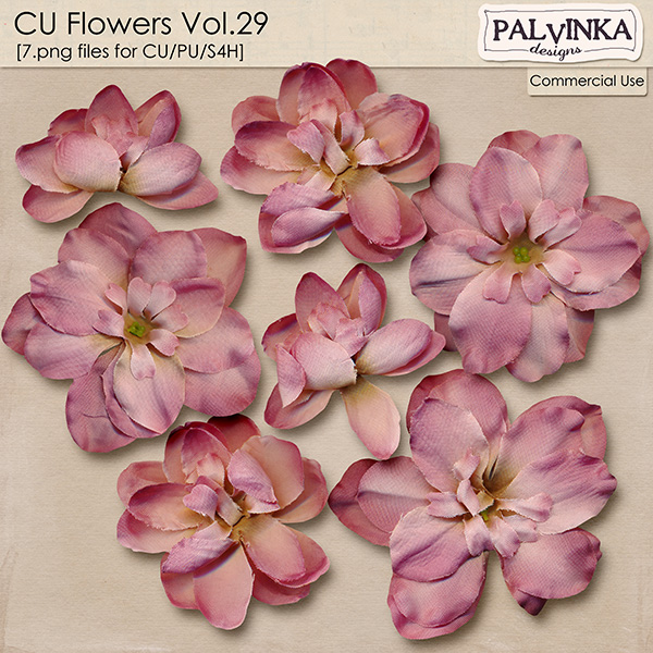 CU Flowers 29