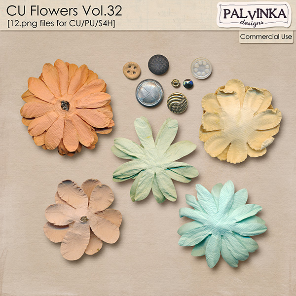 CU Flowers 32