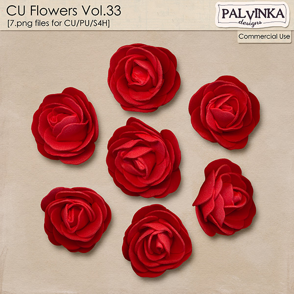 CU Flowers 33
