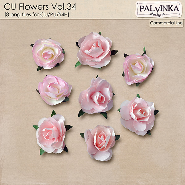 CU Flowers 34