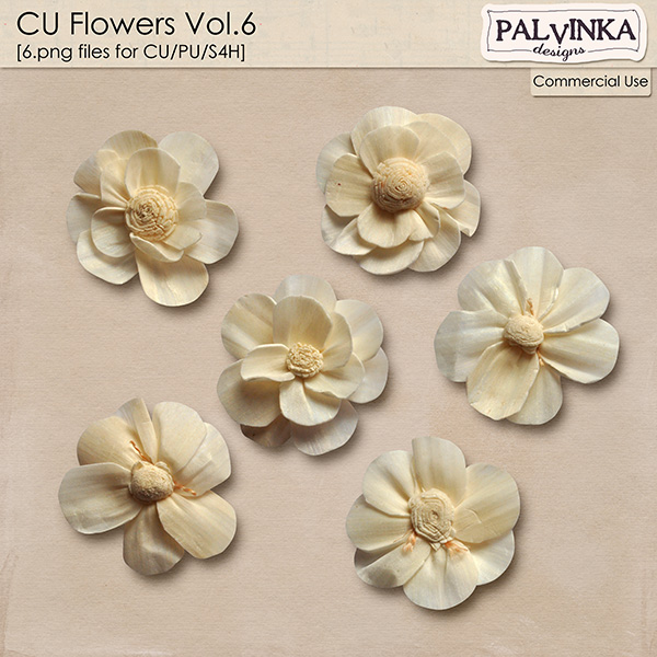 CU Flowers Vol.6