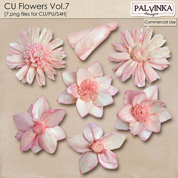 CU Flowers Vol.7