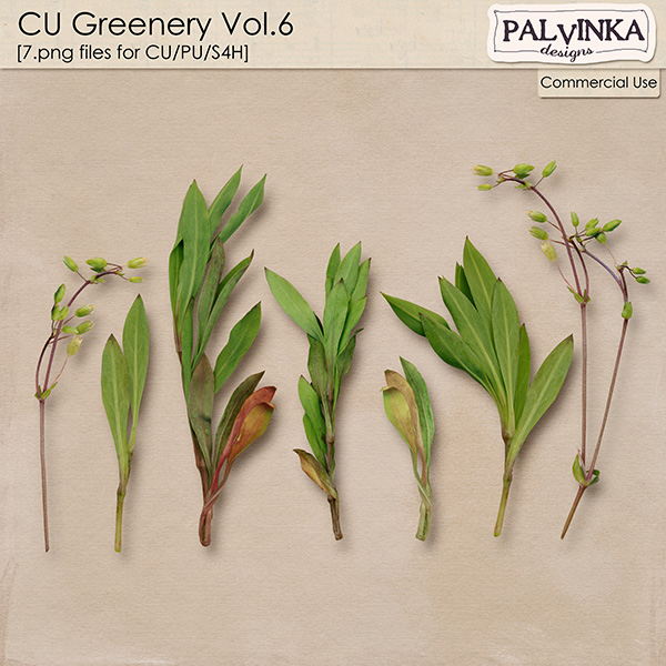 CU Greenery Vol.6