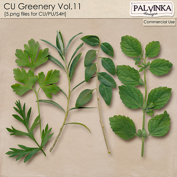 CU Greenery 11