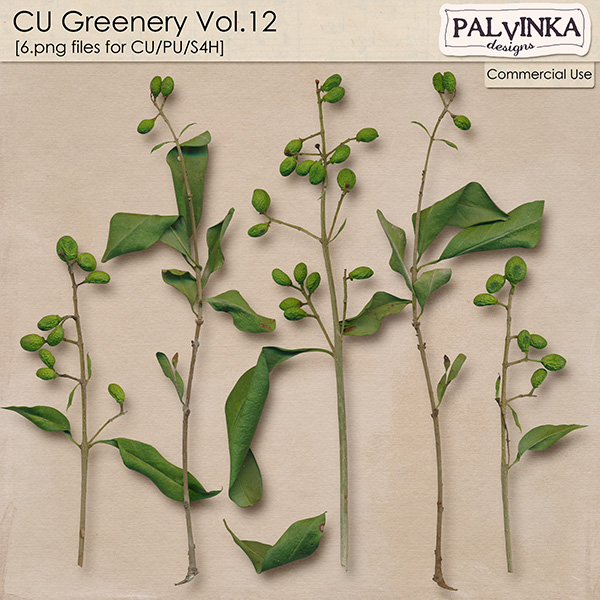 CU Greenery 12