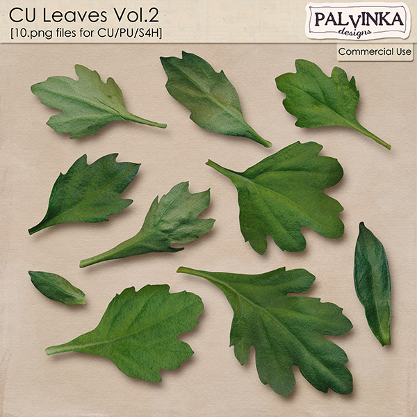 CU Leaves Vol.2 