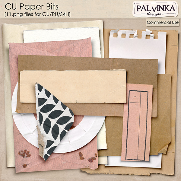 CU Paper Bits
