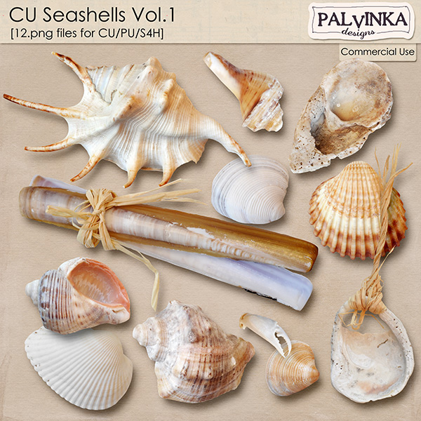 CU Seashells Vol.1