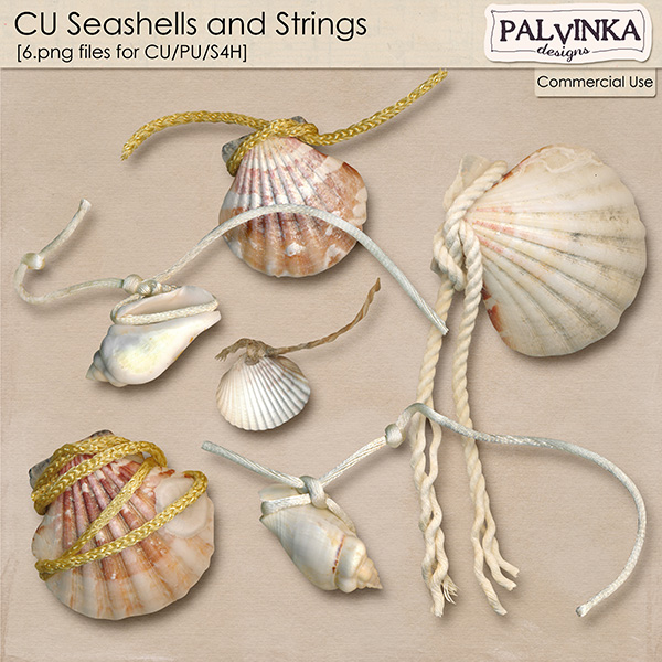 CU Seashells and Strings