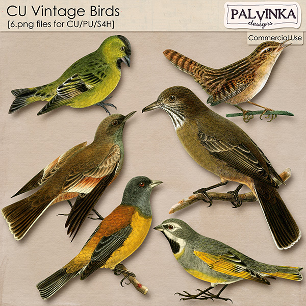 CU Vintage Birds