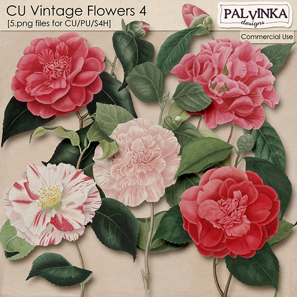 CU Vintage Flowers 4