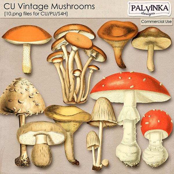 CU Vintage Mushrooms