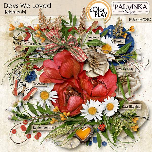 Days We Loved Elements