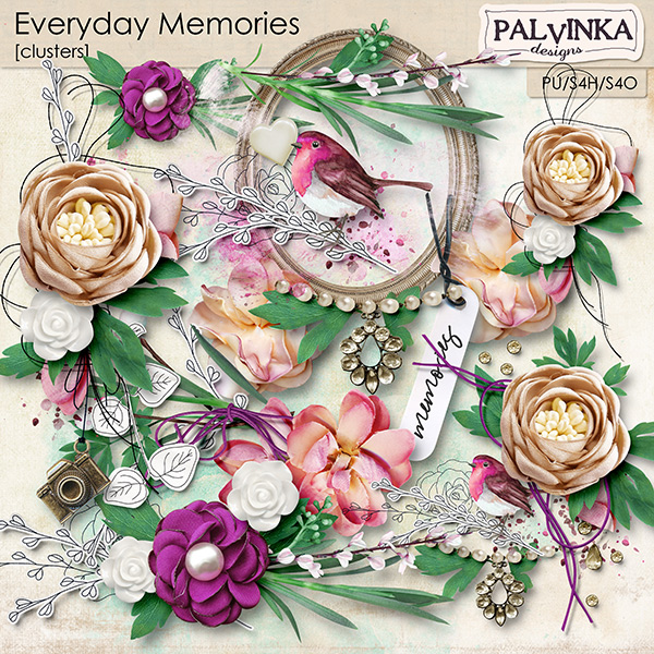 Everyday Memories Clusters