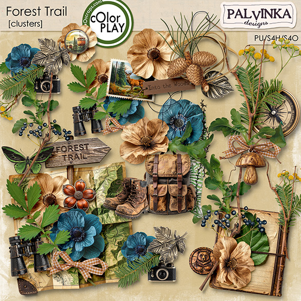 Forest Trail Clusters