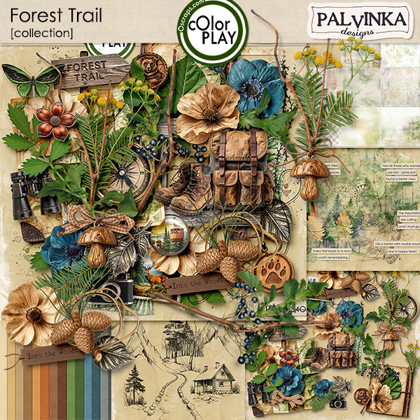 Forest Trail Collection + free BONUS