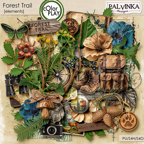 Forest Trail Elements