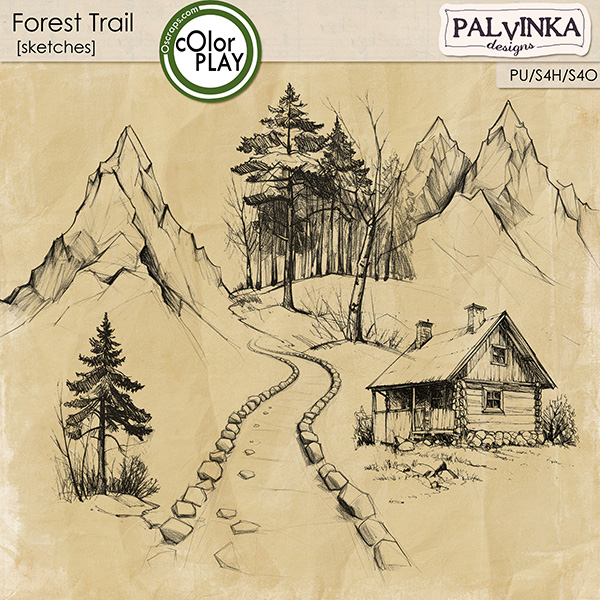 Forest Trail Sketches Forest Trail Sketches