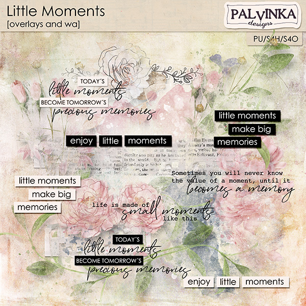 Little Moments Overlays and WA