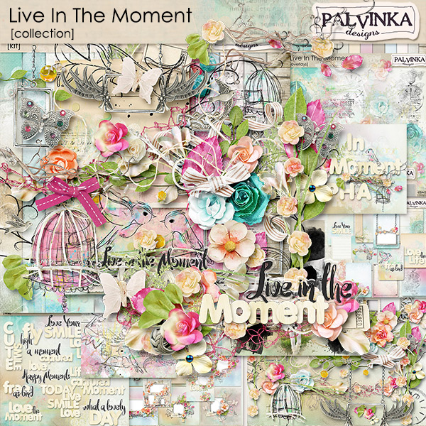 Live In The Moment Collection