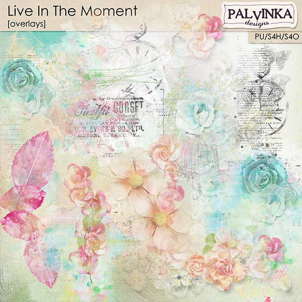 Live In The Moment Overlays