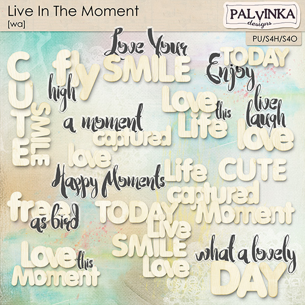 Live In The Moment WA