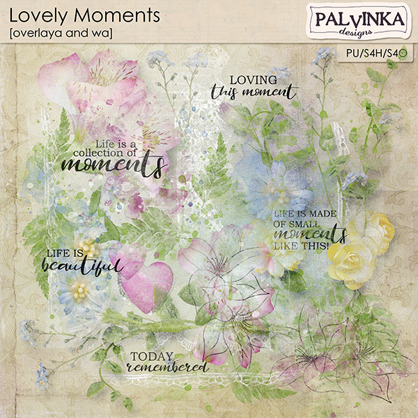 Lovely Moments Overlays and WA
