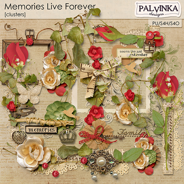 Memories Live Forever Clusters