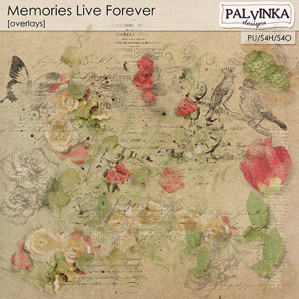 Memories Live Forever Overlays
