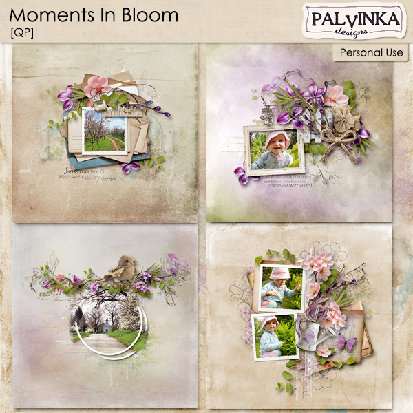 Moments In Bloom QP
