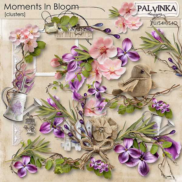 Moments In Bloom Clusters