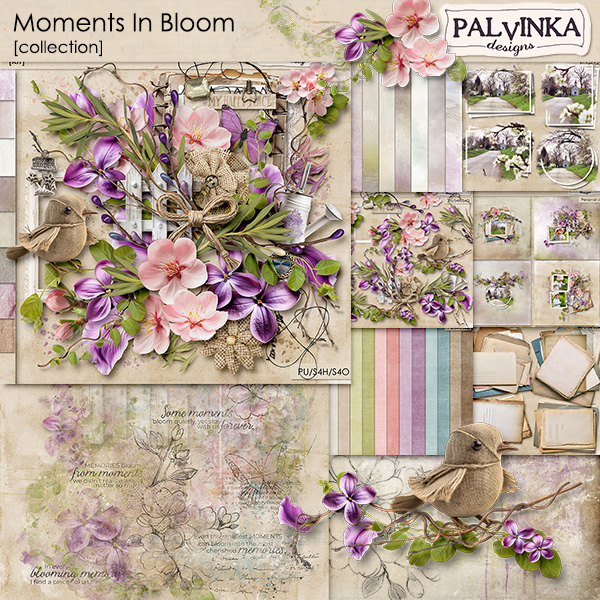 Moments In Bloom Collection