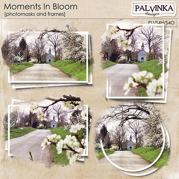 Moments In Bloom Photomasks and Frames