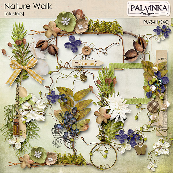 Nature Walk Clusters